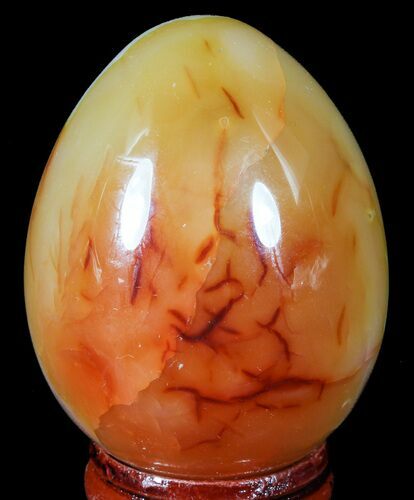Colorful Carnelian Agate Egg #55538